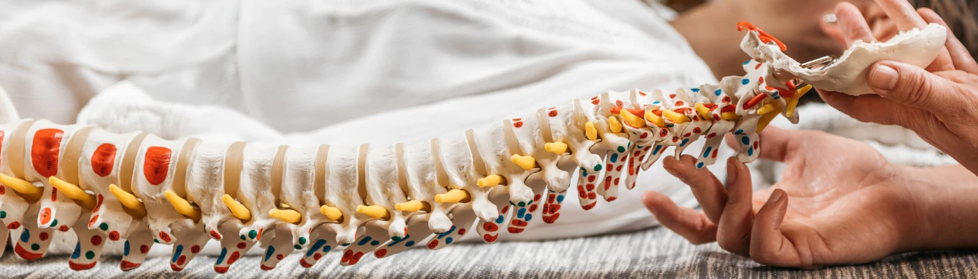 Chiropractic at Feel Amazing Wellness Centre, Chatswood
