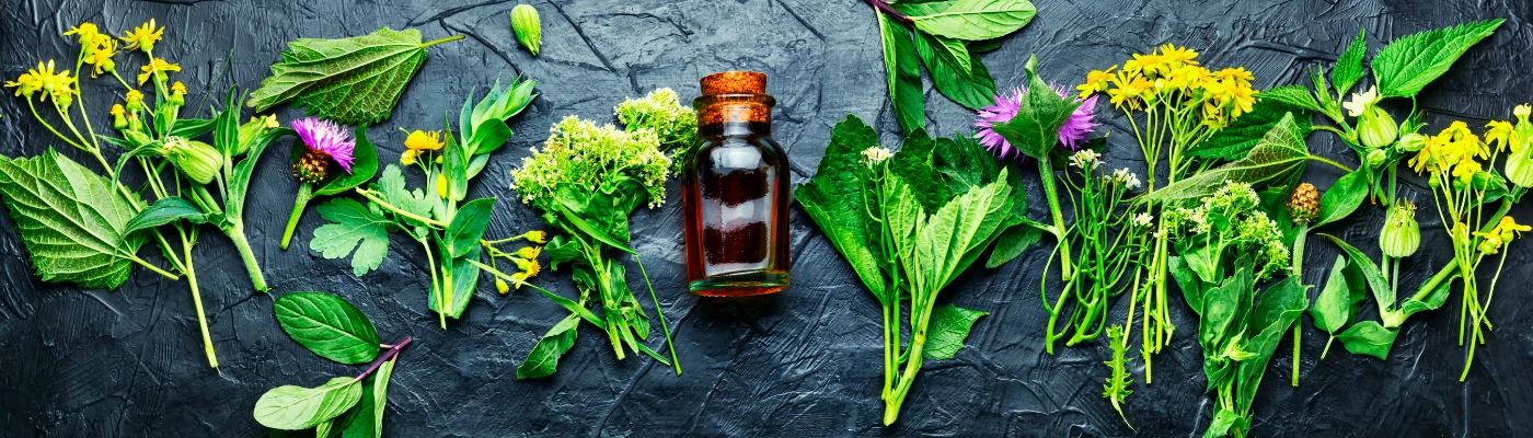 Naturopathy at Feel Amazing Wellness Centre, Chatswood